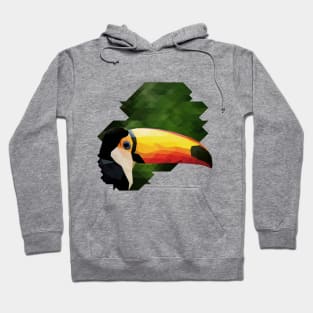 toucan Hoodie